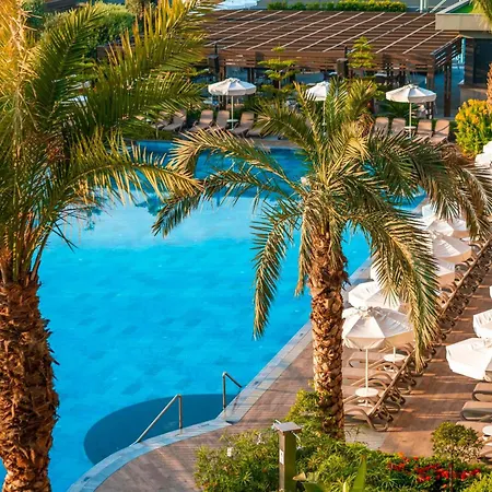 Calyptus Kirman Premium سيدي