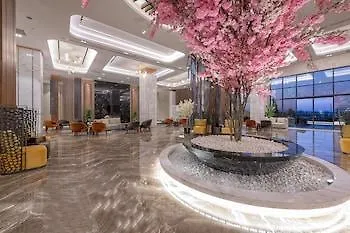 Calyptus Kirman Premium