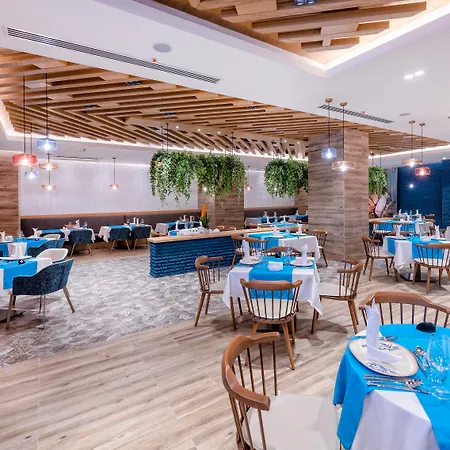 Calyptus Kirman Premium Сиде