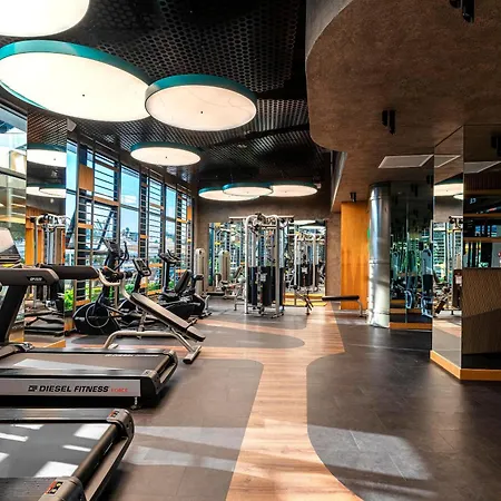 Calyptus Kirman Premium