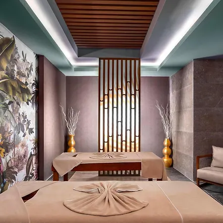 Otel Calyptus Kirman Premium