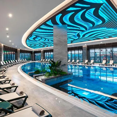 Calyptus Kirman Premium Side