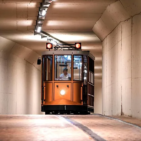 Calyptus Kirman Premium