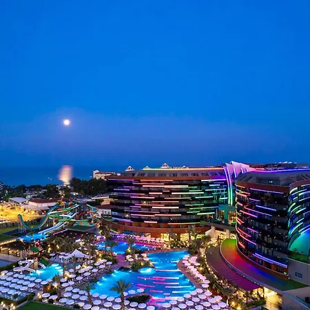 Calyptus Kirman Premium Сиде