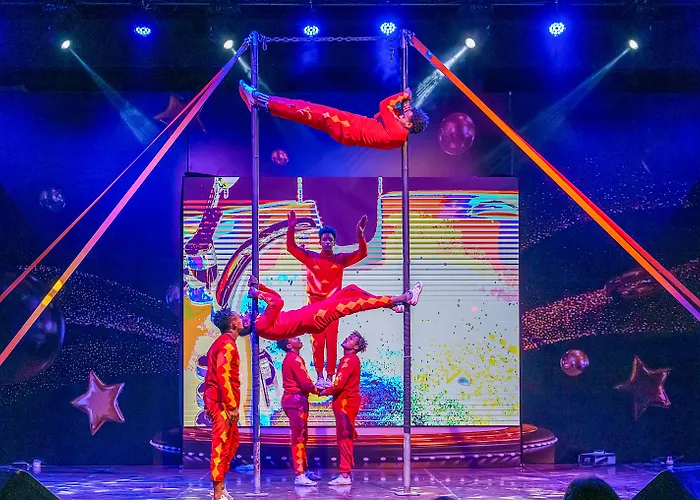 Calyptus Kirman Premium 시데