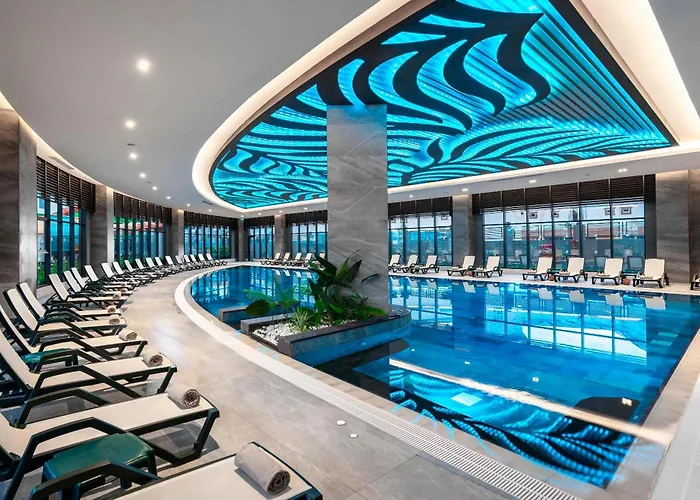 Calyptus Kirman Premium 시데