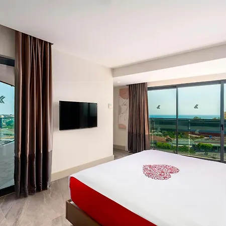 Calyptus Kirman Premium