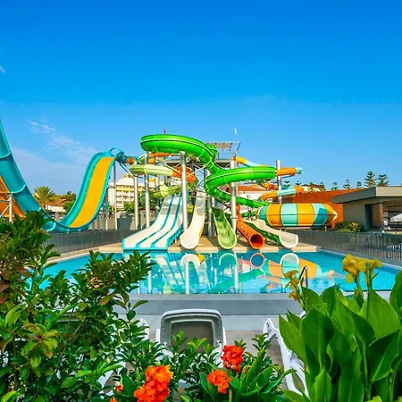 Calyptus Kirman Premium Side